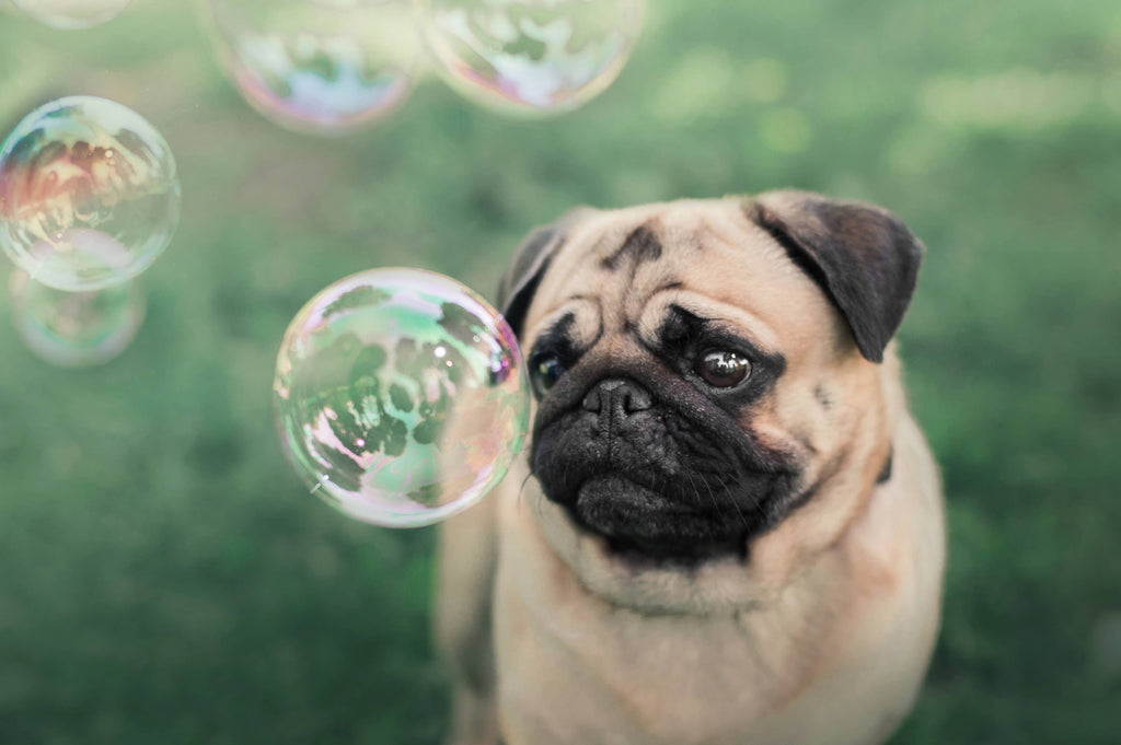 Meaty Bubbles - Smokey Bacon Bubbles - Dog.Dog.Cat.