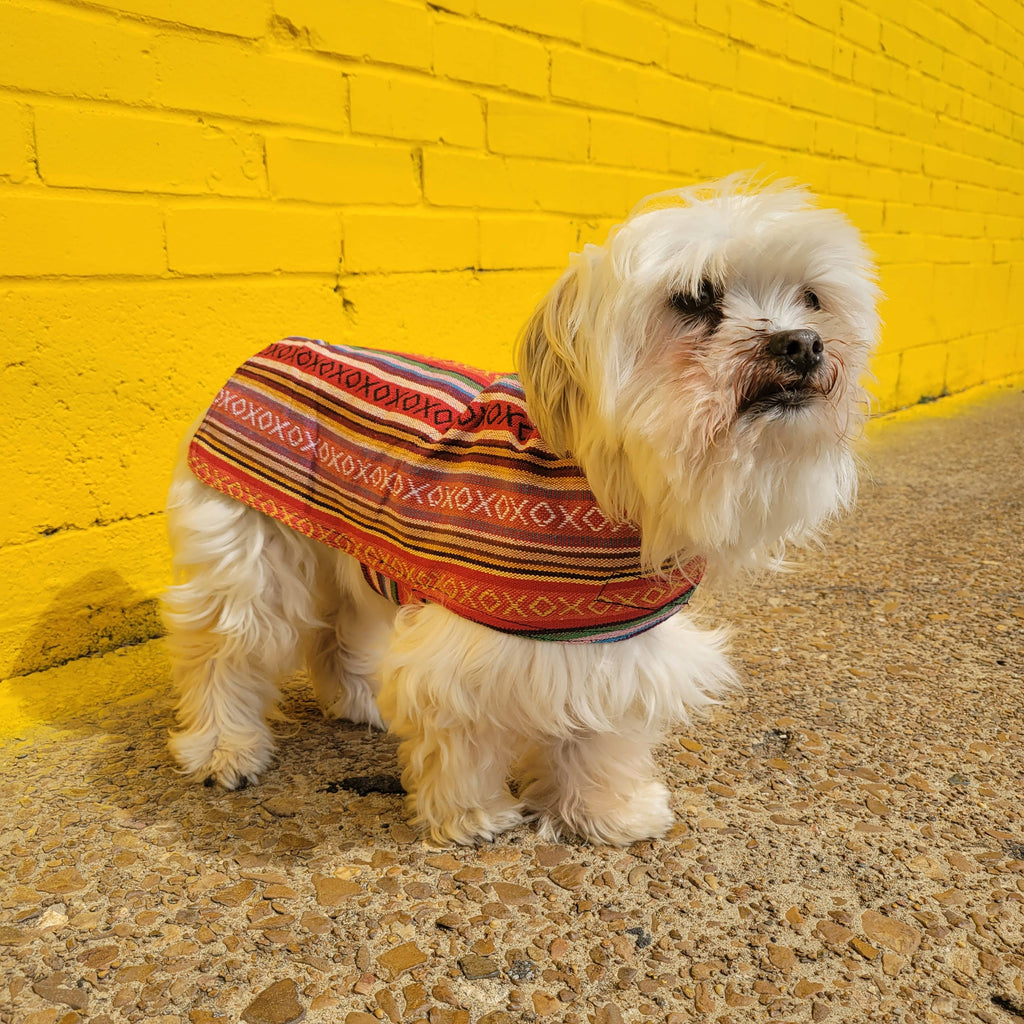 Walking Palm - 100% Hand-Woven Dog Poncho - Salsa - Dog.Dog.Cat.