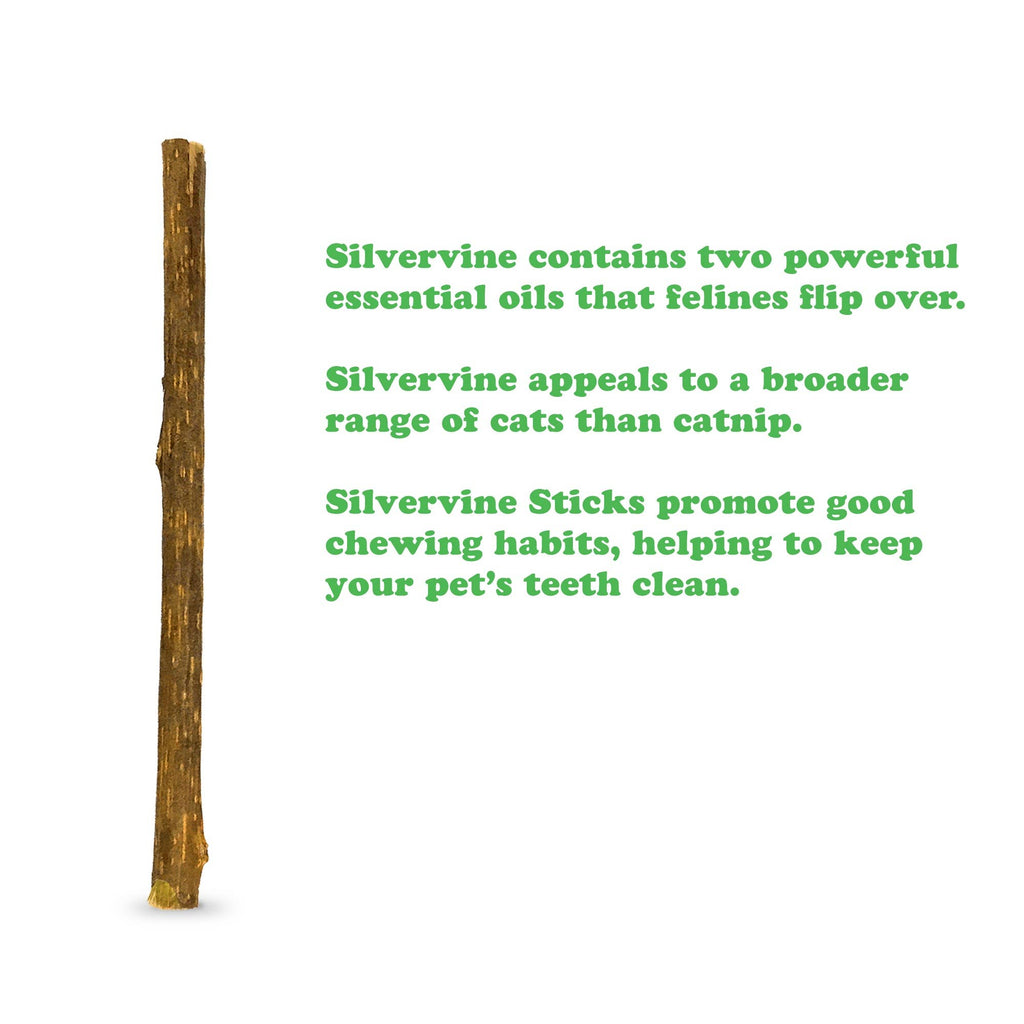 Meowijuana Silvervine Stick 6 pack - Dog.Dog.Cat.