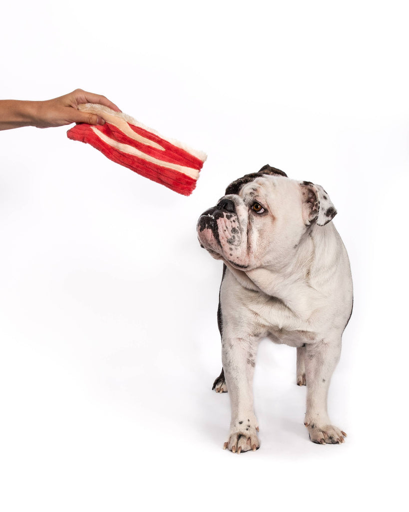 Bacon Dog Toy - Dog.Dog.Cat.
