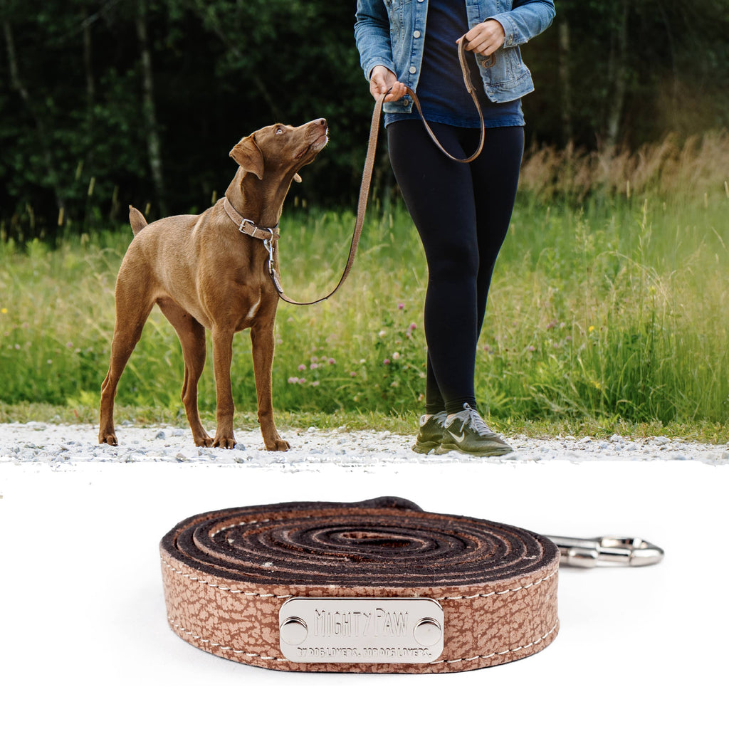 Mighty Paw - Leather Dog Leash (Distressed) - Dog.Dog.Cat.