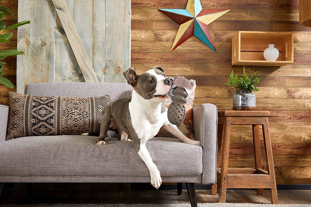 BARK Buck Wild - Dog.Dog.Cat.