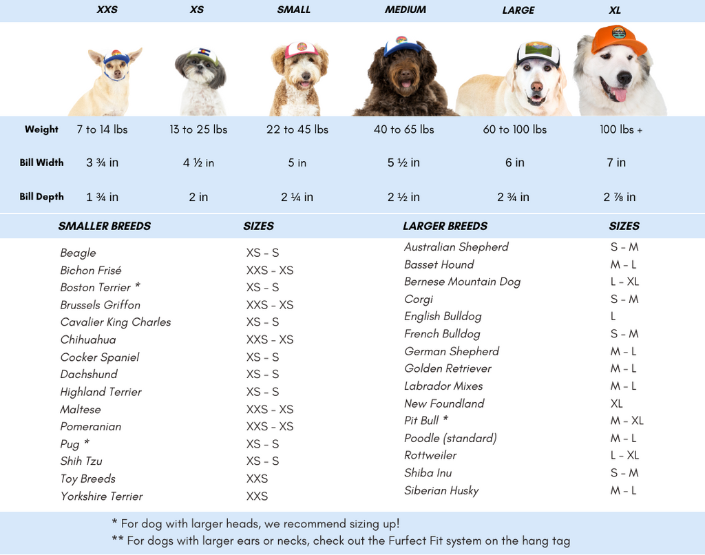 PupLid - Pabst Blue Ribbon l PBR l Trucker Hat for Dogs - Dog.Dog.Cat.