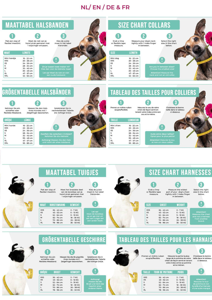 Dog with a Mission Leather Dog Harness-Rock - Dog.Dog.Cat.