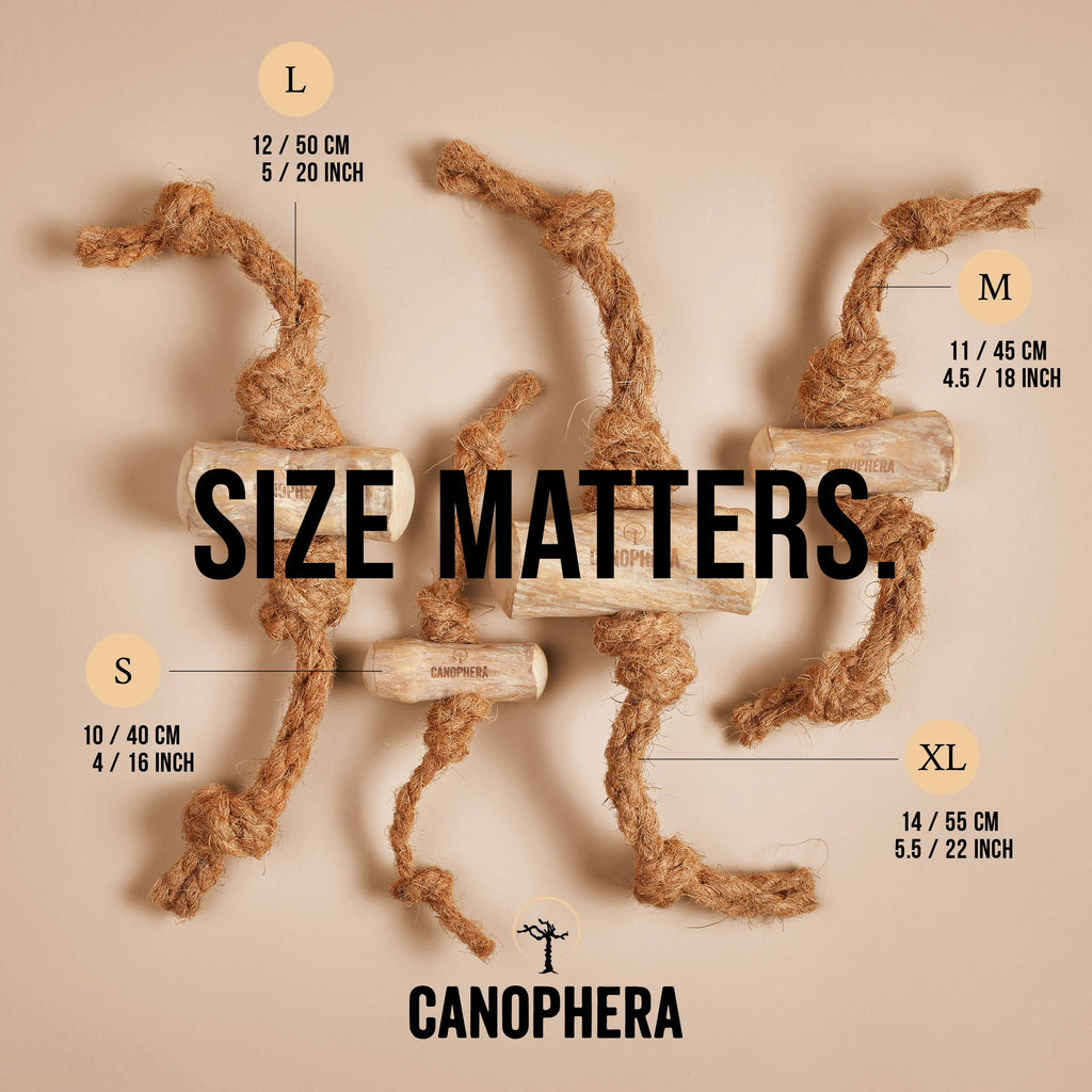 Dog Chew Made of Coffee Wood and Coconut Rope. - Dog.Dog.Cat.