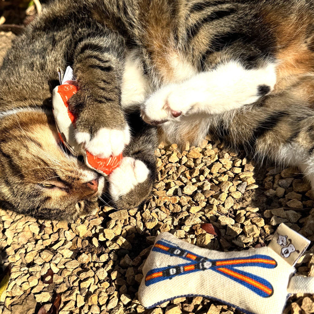 Speckle and Spot by Ore’ Originals - Go Kitty Go Cat Toy Set | Ski Kitty - Dog.Dog.Cat.