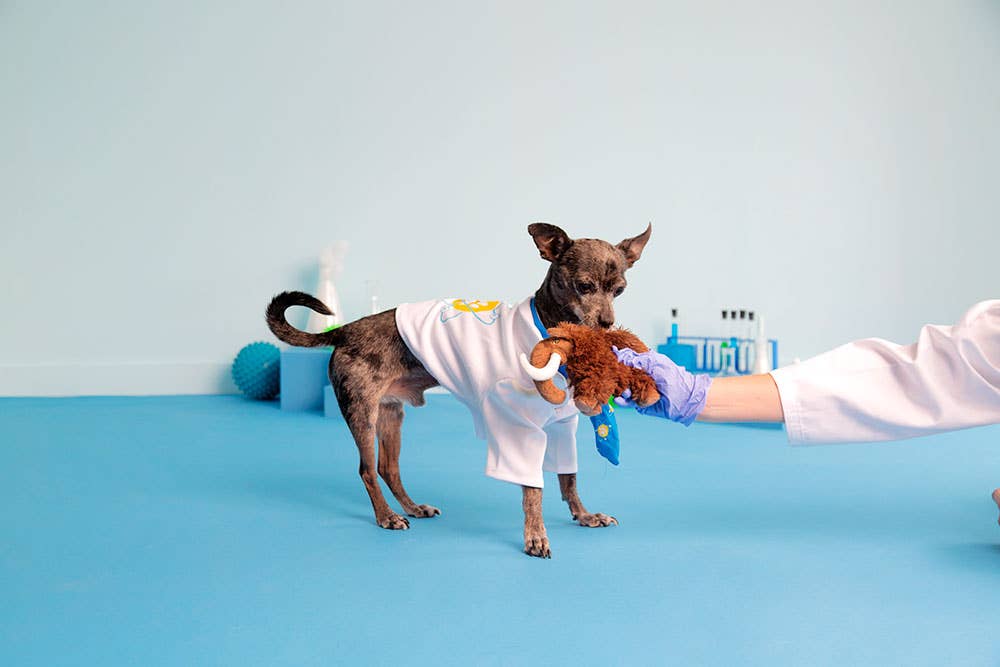 BARK Winston The Wooly Mammouth - Dog.Dog.Cat.