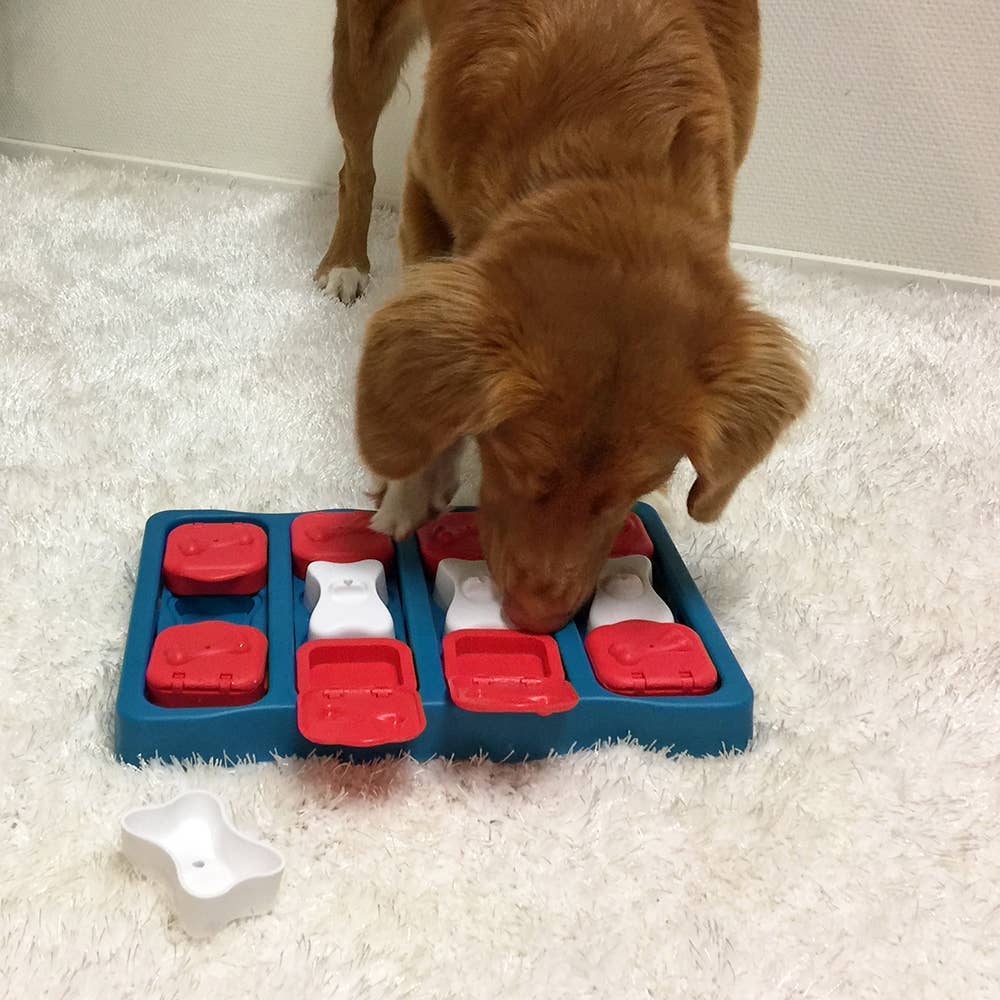 Nina Ottosson Dog Brick Interactive Treat Dog Puzzle Blue - Dog.Dog.Cat.