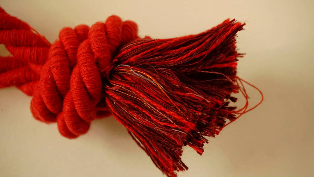 hundsfutter - Olive wood teether with cotton cord - Dog.Dog.Cat.