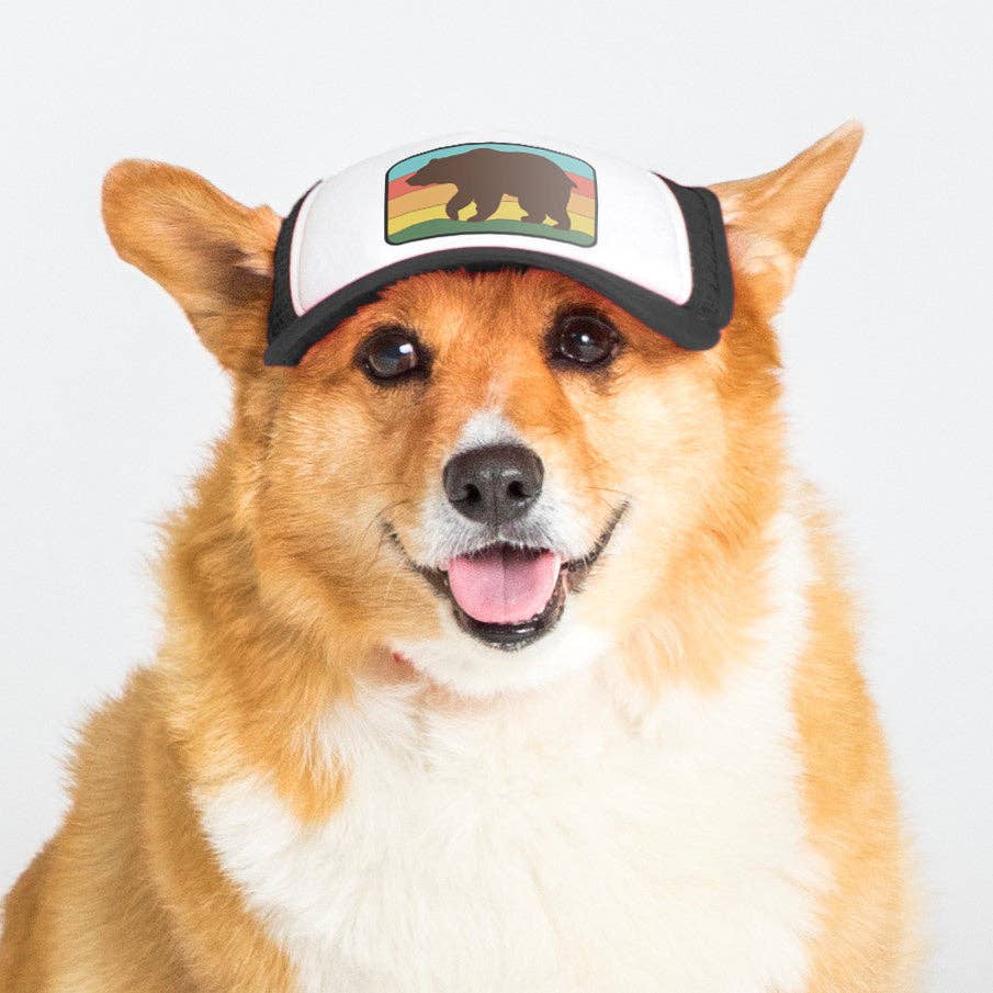 Bear Standard Lake Tahoe | Trucker Hat for Dogs - Dog.Dog.Cat.