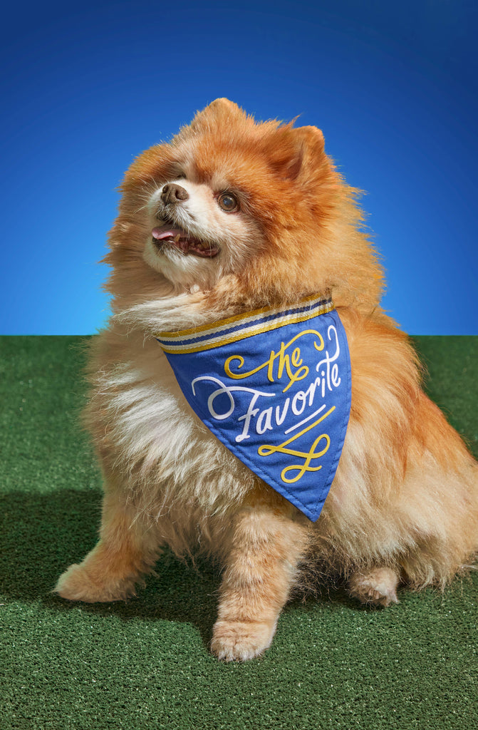 Brass Monkey - The Favorite Dog Bandana - Dog.Dog.Cat.