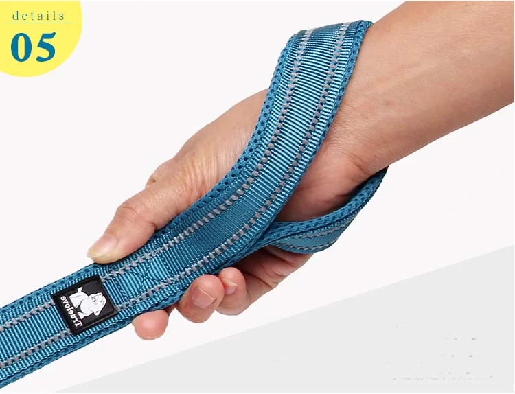 TrueLove Mesh and Reflective Leash TLL2111 - Dog.Dog.Cat.