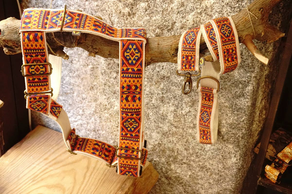 hundsfutter - "Ruben" dog harness and leash - Dog.Dog.Cat.