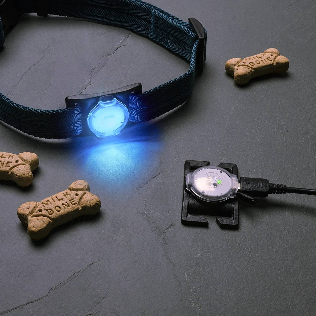 Nite Ize NiteDog™ Rechargeable Pet Light - Disc-O Tech™ - Dog.Dog.Cat.