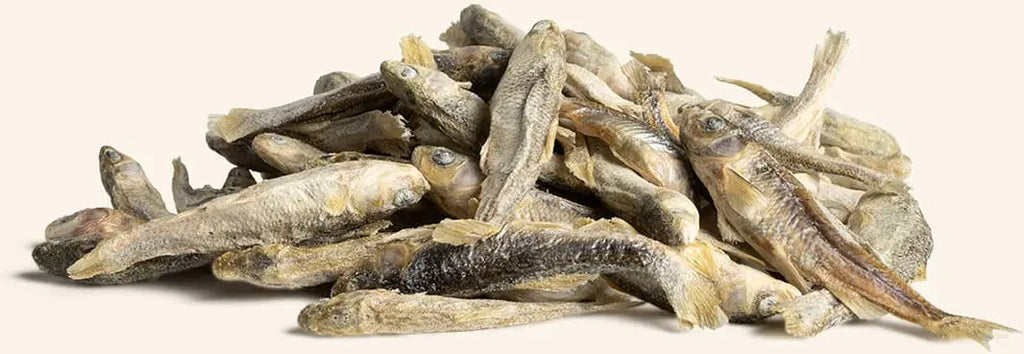 Vital Essentials Treats - Minnows - Various Sizes Available - Dog.Dog.Cat.
