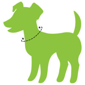 Cycle Dog Collar Metal Airplane Style Buckle Durable Adjustable Regular Fit with Reflective Trim - Dog.Dog.Cat.