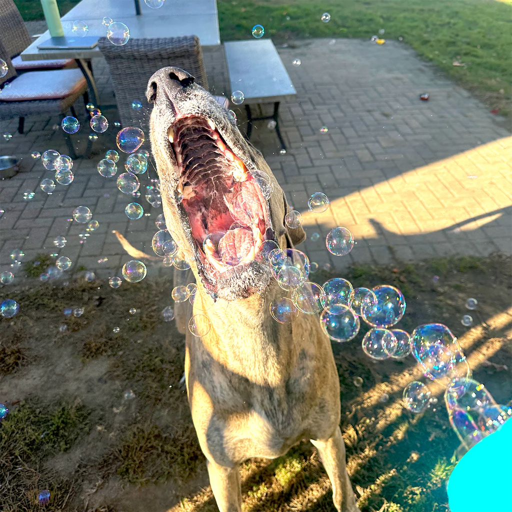 Puppy Love Bubbles - Dog.Dog.Cat.