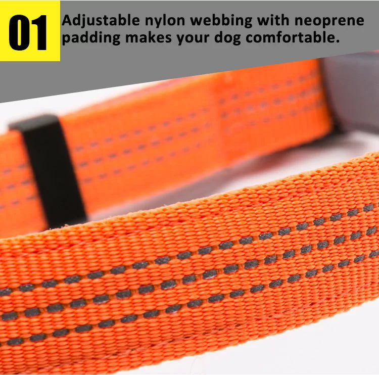 TrueLove Quick Dry Collar TLC5271 - Dog.Dog.Cat.