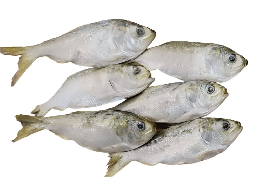 Freeze Dried Menhaden Fish 20 Pack (2oz) - Dog.Dog.Cat.