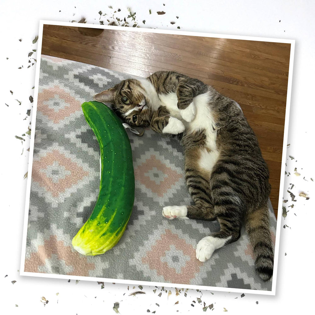 Meowijuana Get Kickin Spicy Pickle Kicker Cat Toy - Dog.Dog.Cat.