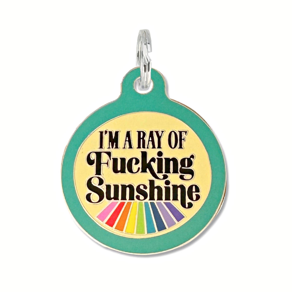 Bad Tags - Dog ID Tag Personalized  - Ray of Fucking Sunshine - Dog.Dog.Cat.