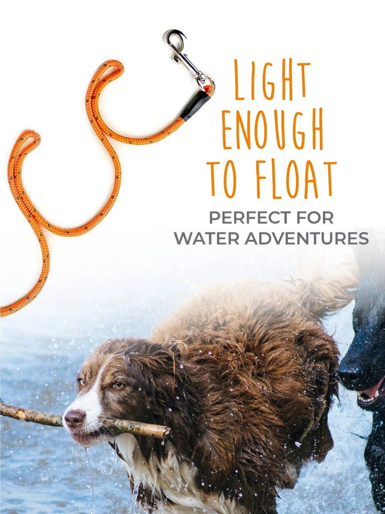 Mighty Paw - 30' Check Cord - Dog.Dog.Cat.