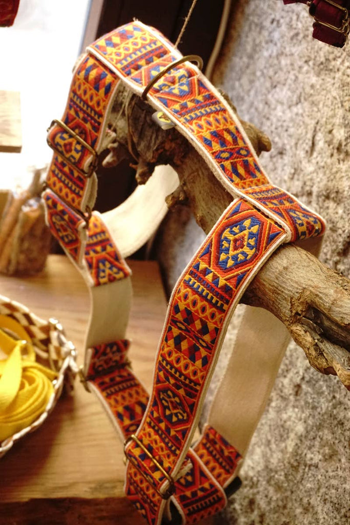 hundsfutter - "Ruben" dog harness and leash - Dog.Dog.Cat.