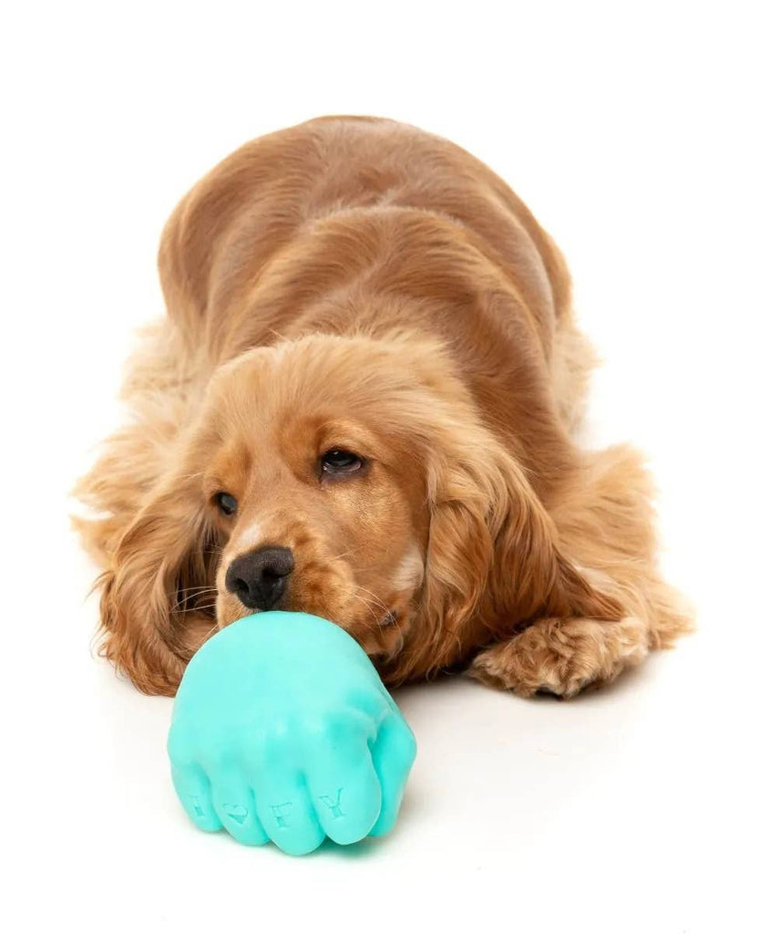 FuzzYard Knuckle Sandwich Dog Chew Toy - Dog.Dog.Cat.