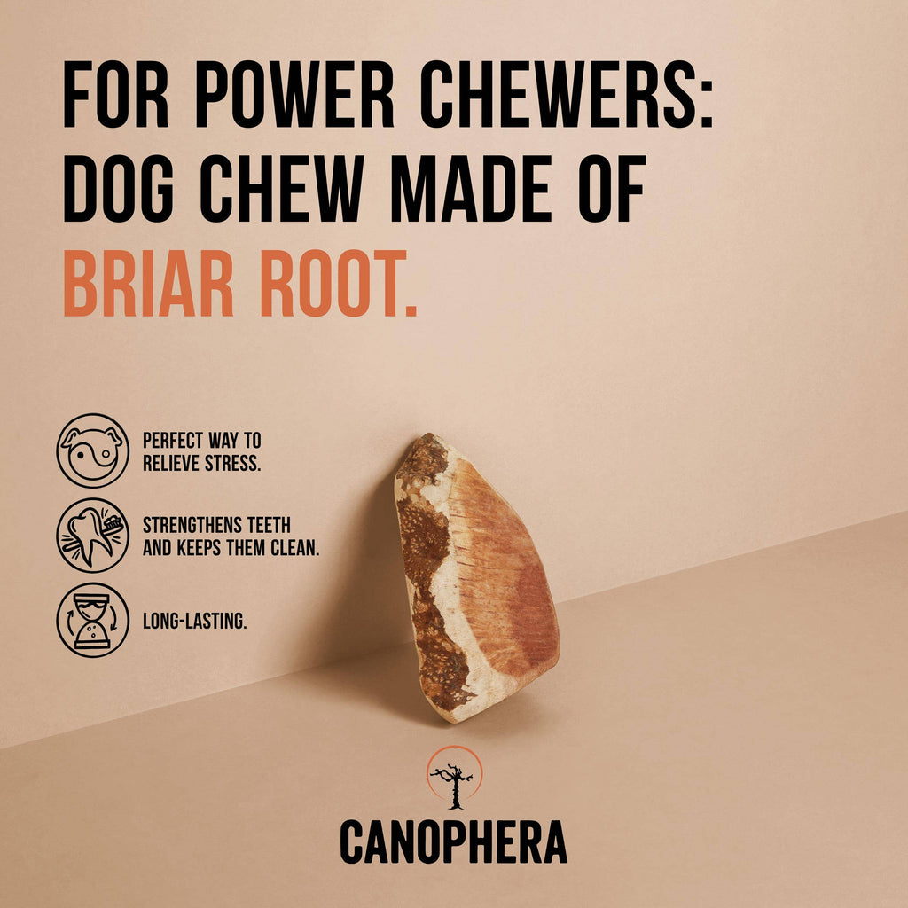 Dog Chew Made of Briar Root. - Dog.Dog.Cat.