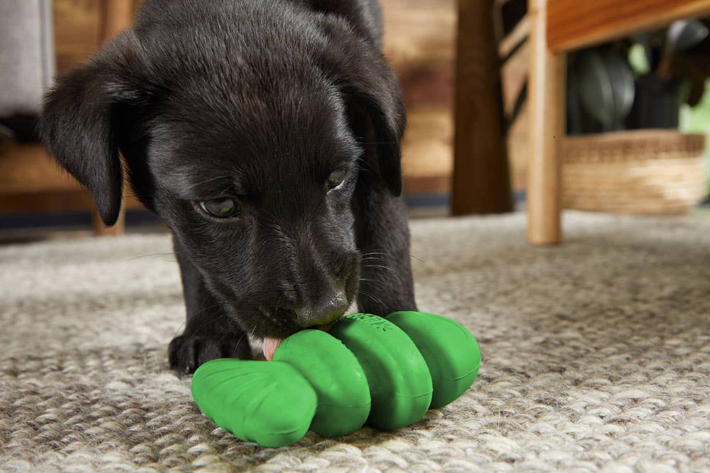 BARK Cod Almighty - Dog.Dog.Cat.
