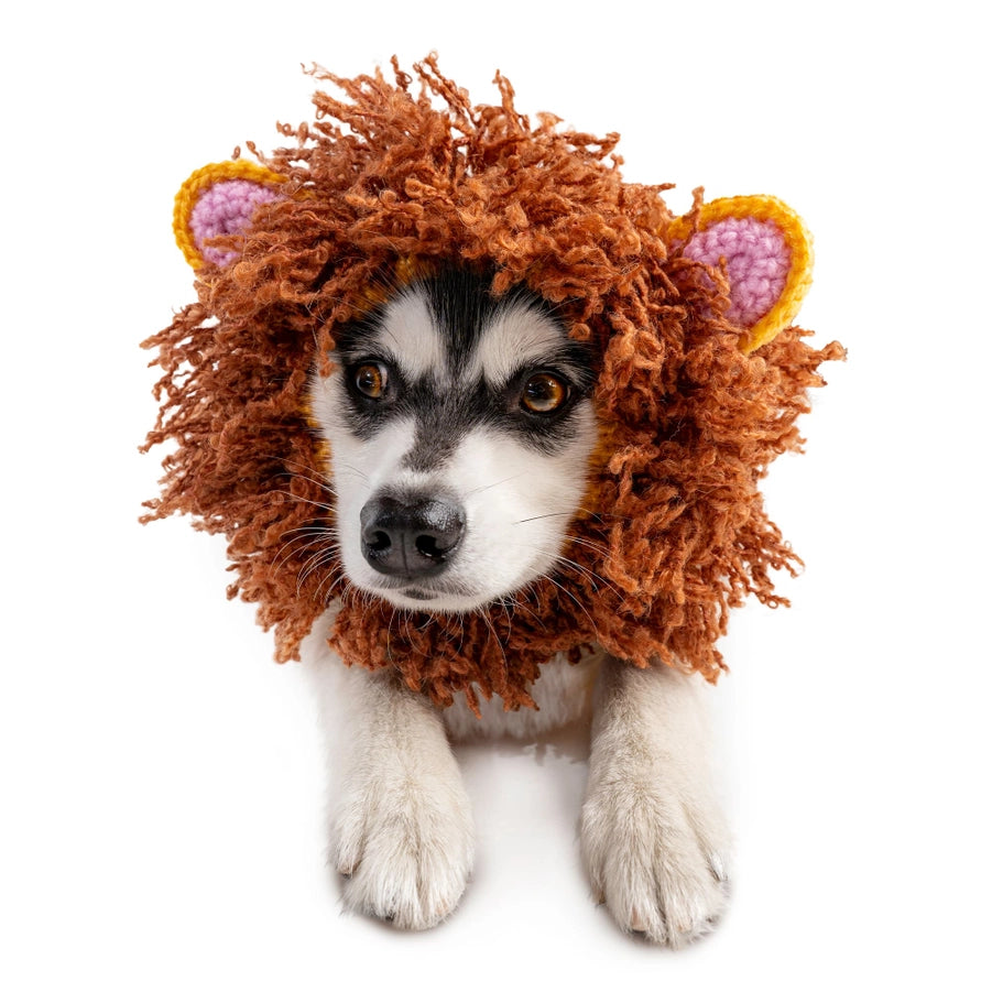 Zoo Snoods -Lion Dog Snood - Dog.Dog.Cat.