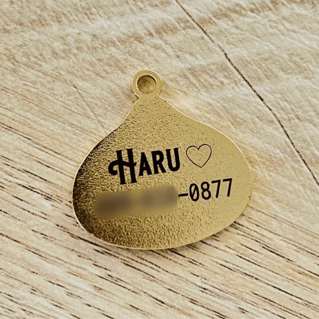 Dumpling Pet ID Tag - Dog.Dog.Cat.