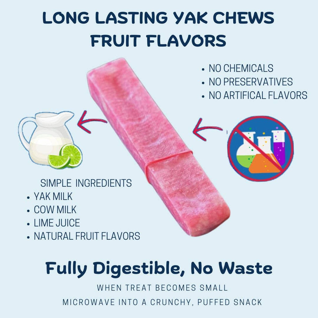 Yeti Chew Mango - Dog.Dog.Cat.