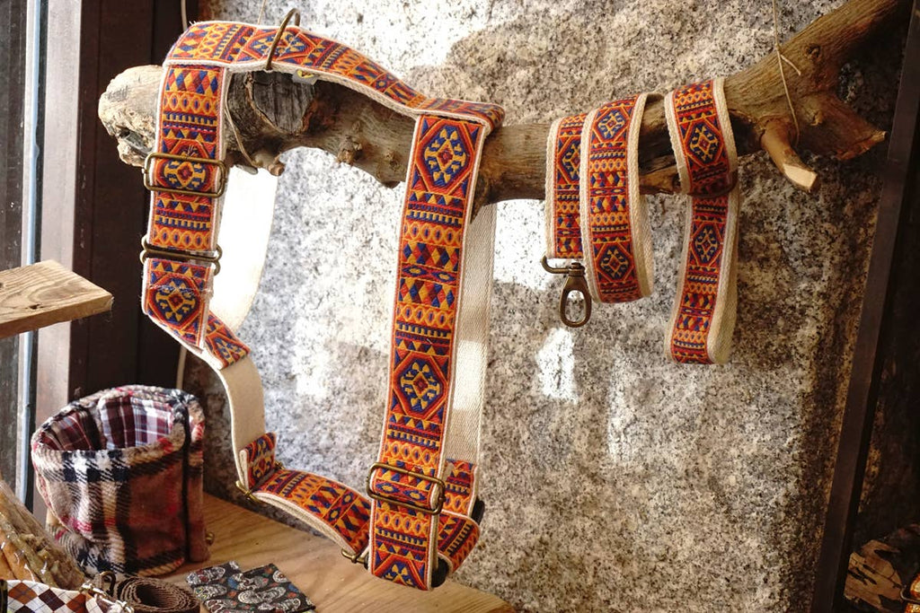 hundsfutter - "Ruben" dog harness and leash - Dog.Dog.Cat.