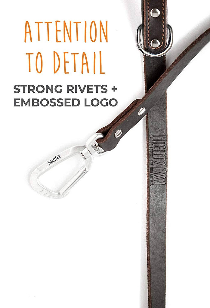Mighty Paw - Leather Leash 6 ft. - Dog.Dog.Cat.