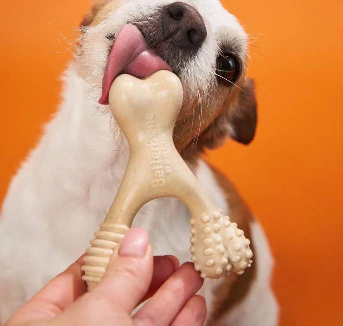 BetterBone Soft Beef and Classic Dog Chew Toy Durable and Safe for All Sizes - Dog.Dog.Cat.
