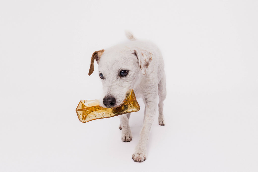 Mighty Marrows Collagen Dental Chew - Bacon - SM/LG - Dog.Dog.Cat.