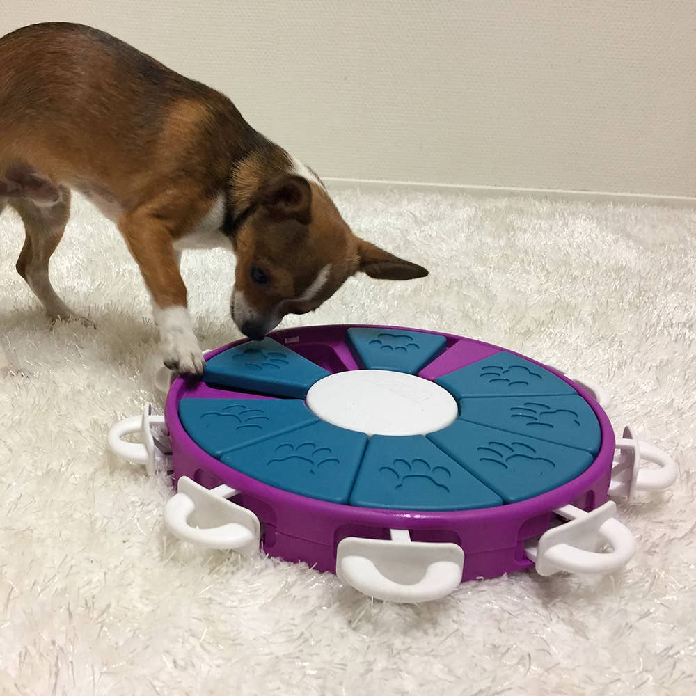 Nina Ottosson Dog Twister Interactive Dog Puzzle Toy Purple - Dog.Dog.Cat.