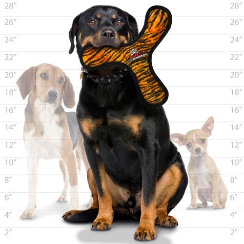 Tuffy Mega Boomerang Tiger, Durable, Tough, Squeaky Dog Toy - Dog.Dog.Cat.