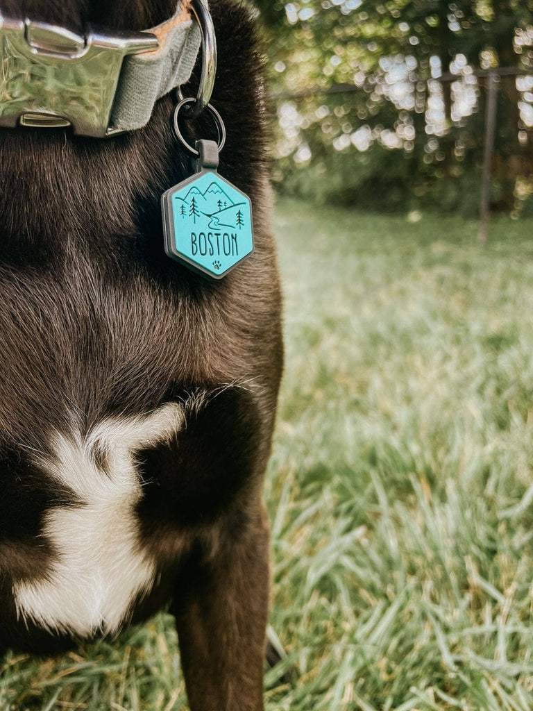 Besties Pets - Mountain Adventure Silicone Dog ID Tag: Sky Blue - Dog.Dog.Cat.