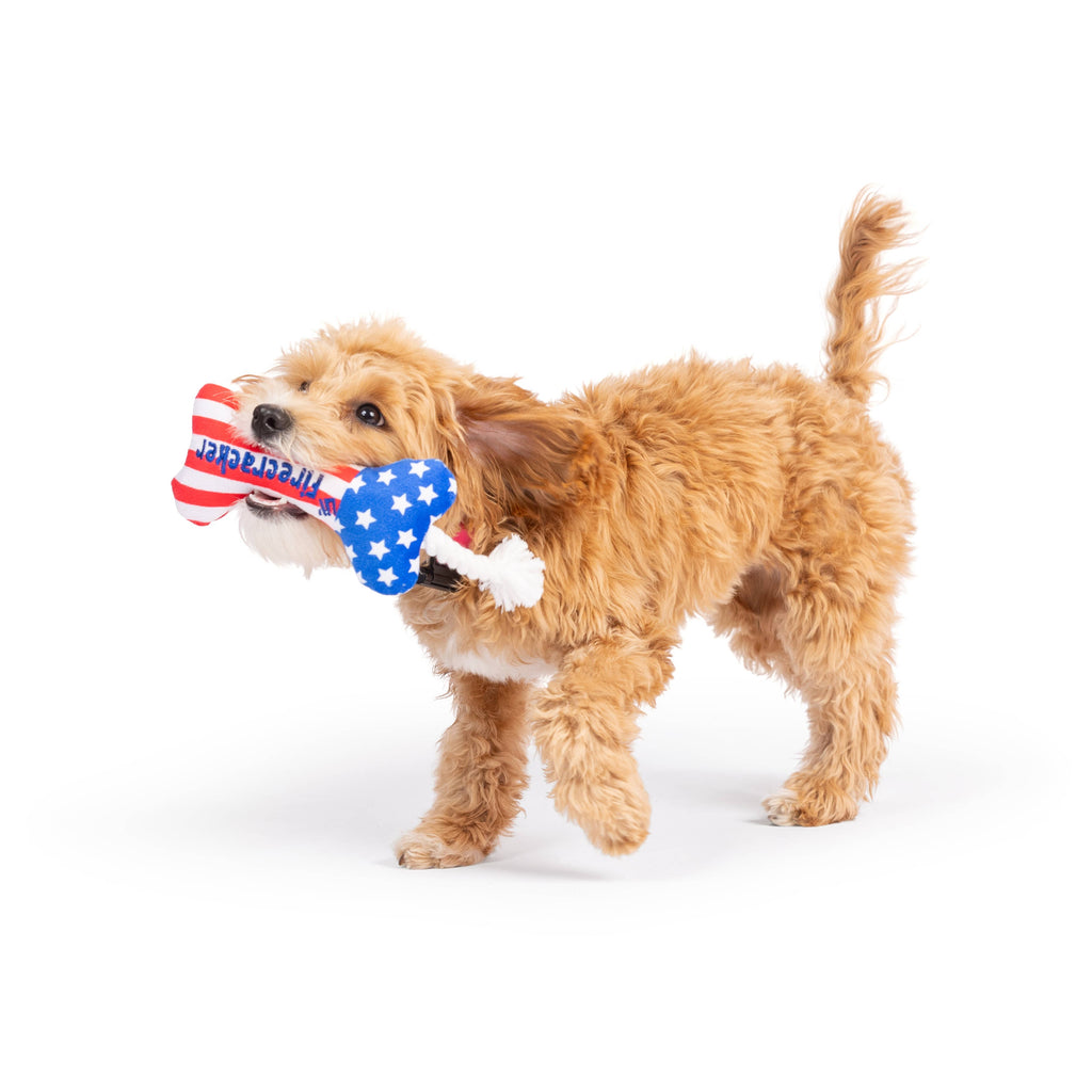 Tiny Tuff Lil' Firecracker Bone - Dog.Dog.Cat.