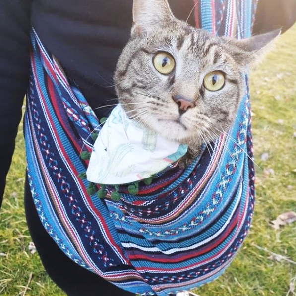 Walking Palm - Dog Sling - Beach House Woven - Dog.Dog.Cat.