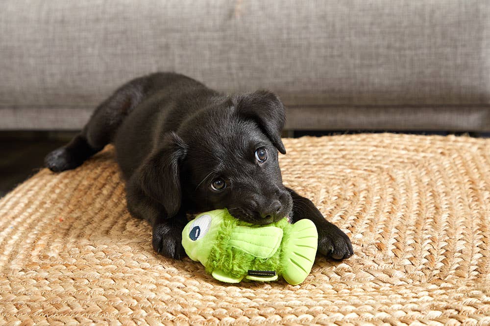 BARK Drop the Bass Durable Dog Toy - Dog.Dog.Cat.