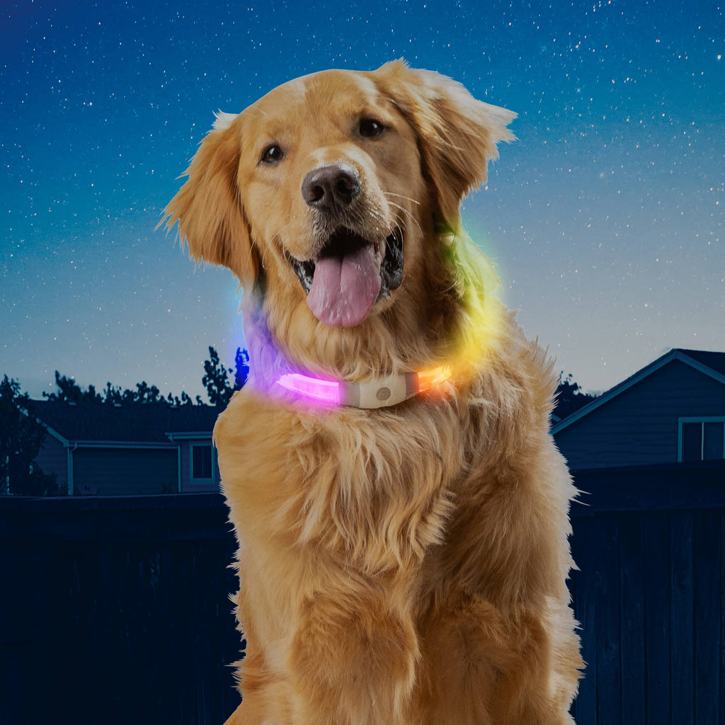 Nite Ize NiteHowl Max Rechargeable LED Safety Necklace Disco - Dog.Dog.Cat.
