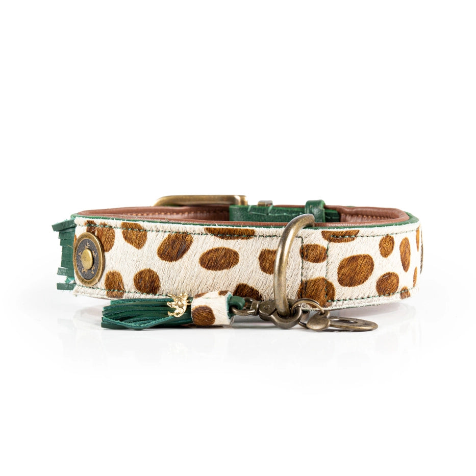 Dog With A Mission Dog Collar  - Ivy Collar - Dog.Dog.Cat.