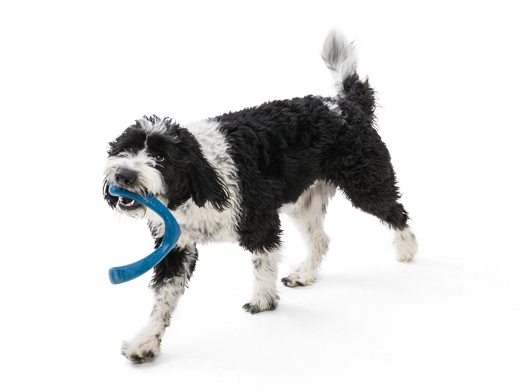 West Paw - Snorkl® Dog Toy for Play, Tug, and Fetch - Dog.Dog.Cat.