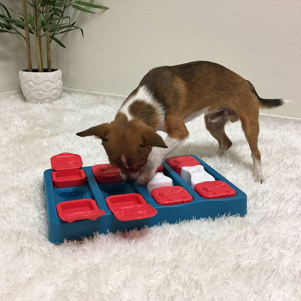 Nina Ottosson Dog Brick Interactive Treat Dog Puzzle Blue - Dog.Dog.Cat.