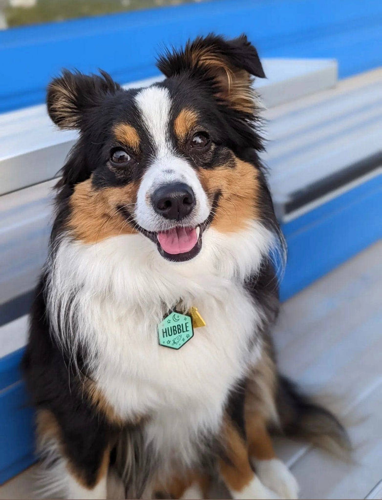 Besties Pets - Space Cadet Silicone Dog ID Tag: Chartreuse - Dog.Dog.Cat.