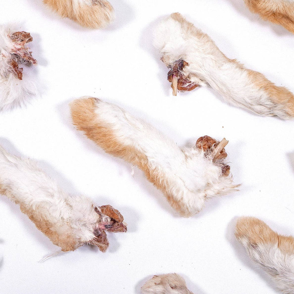 The Rabbit Tap Rabbit Feet | Single Ingredient Dog & Cat Treat