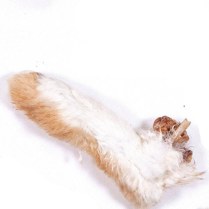 The Rabbit Tap Rabbit Feet | Single Ingredient Dog & Cat Treat